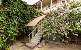 Apartment in Cozy Little Yard