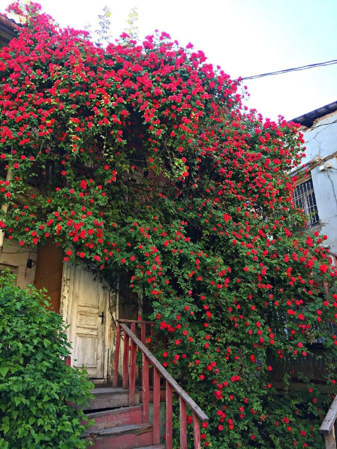 Apartment in Cozy Little Yard Tiflis Dış mekan fotoğraf